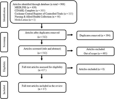 Motivational strategies used by health care professionals in stroke survivors in rehabilitation: a scoping review of experimental studies